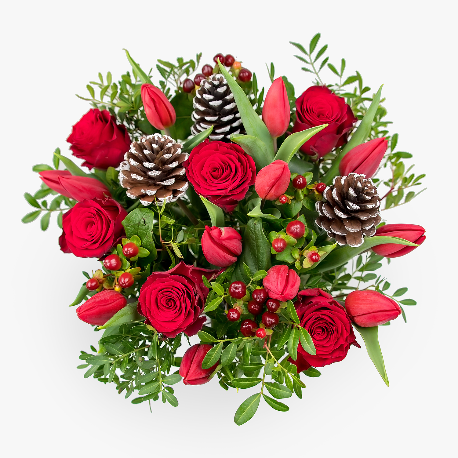 Festive Favourites | B&M Flowers